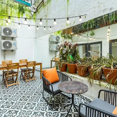 Apartment Excellent Flat With Lovely Backyard In Cihangir *